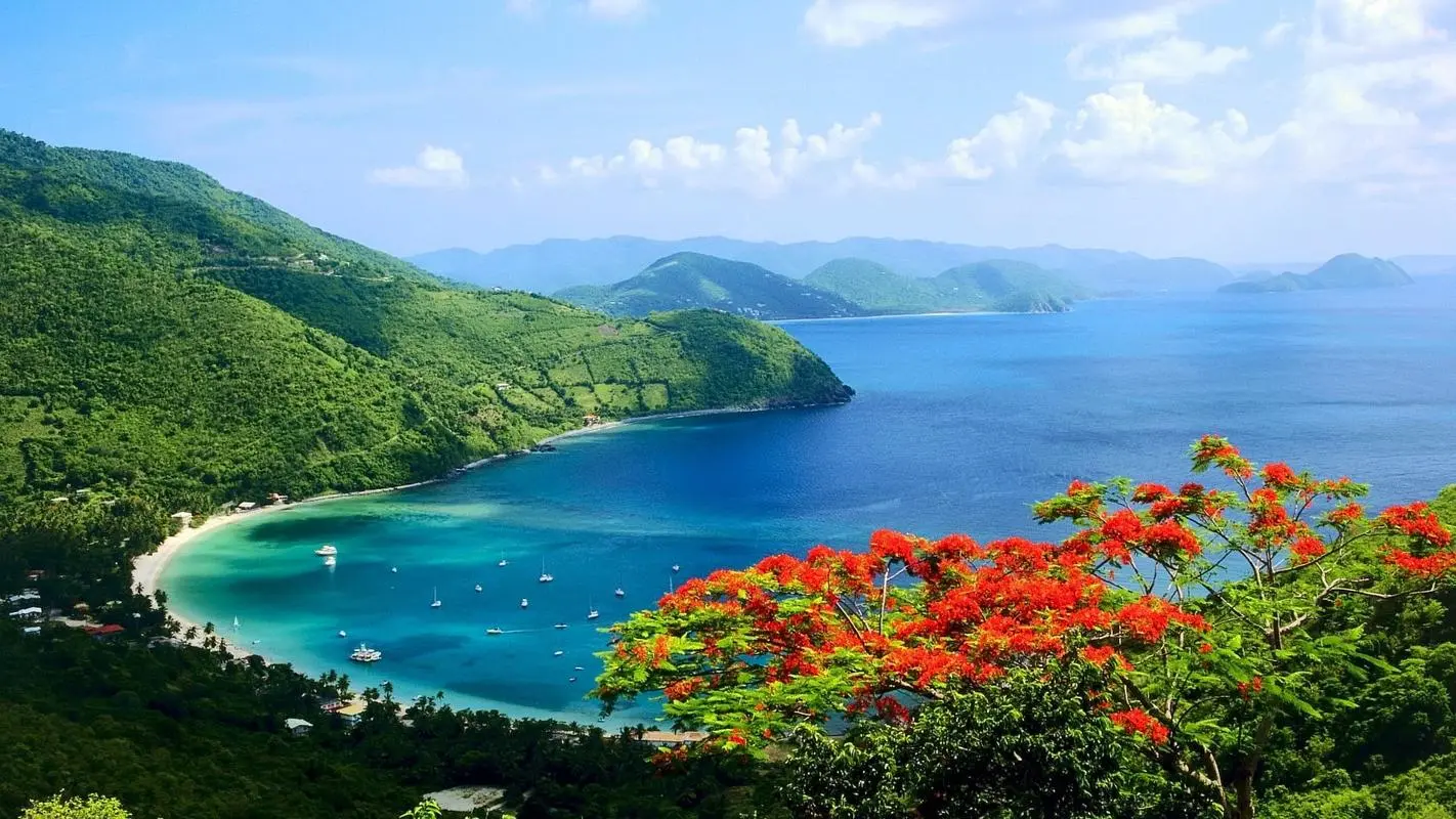 高性能高标准独特